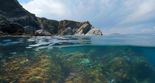 Mediterraneo sempre pi� caldo e salato: il cambiamento accelera fino agli abissi
